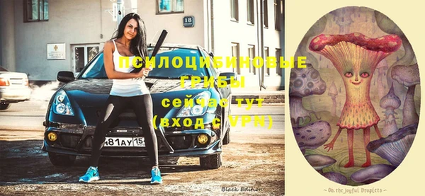 мяу мяу мука Абдулино