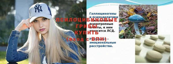 мяу мяу мука Абдулино