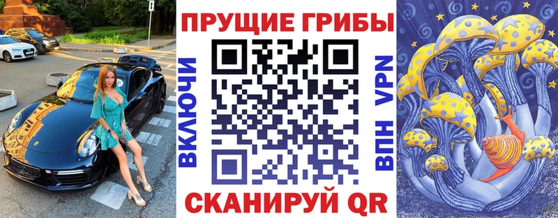 Галлюциногенные грибы мицелий купить наркоту Кораблино